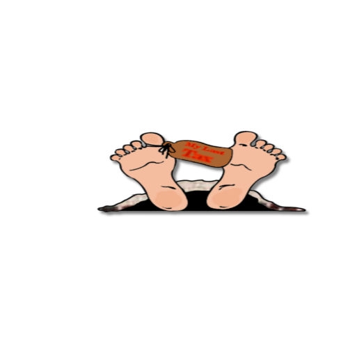 Creation of Tax..  Tax & More Tax!: Step 4
